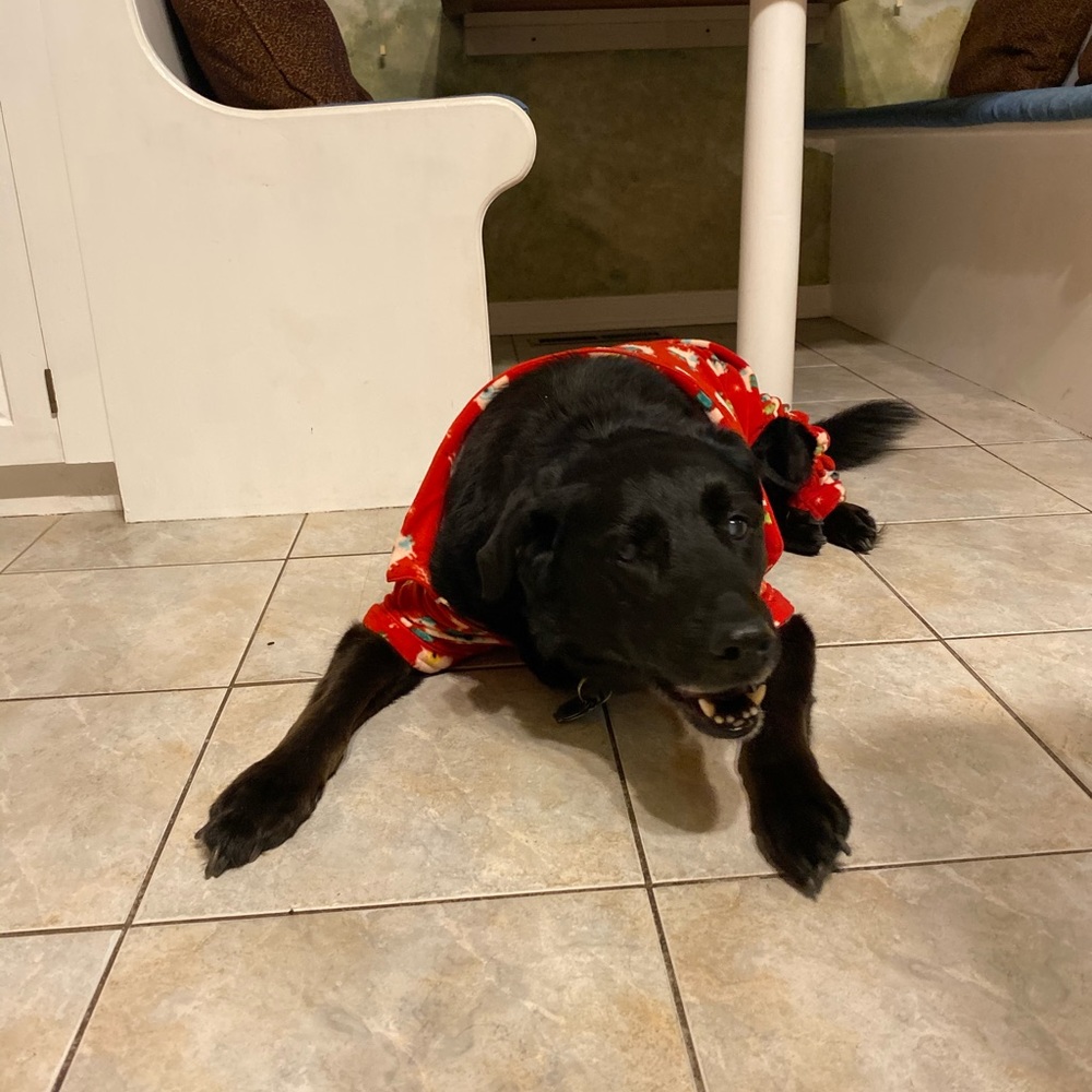 Meet your Posher, Laura